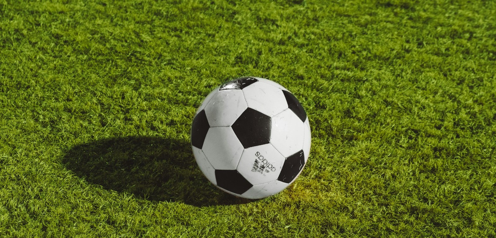 Balón de fútbol blanco y negro apoyado sobre el césped de una cancha