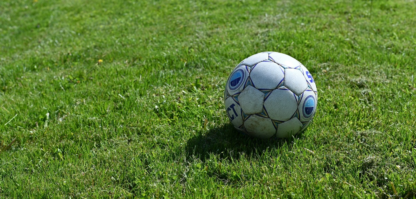 Pelota de fútbol blanca y negra sobre el césped de una cancha